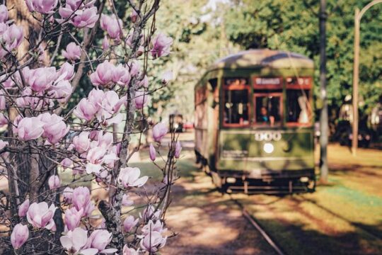 La Vie NOLA! Private New Orleans City Tour with a Native Guide