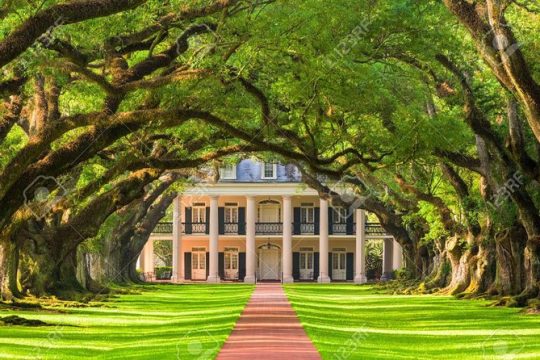 Oak Alley Plantation & Airboat Tours