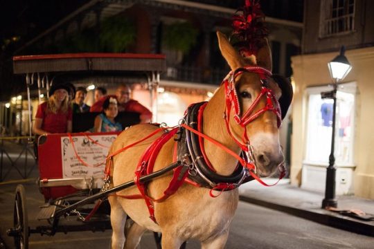 New Orleans Small-Group Haunted History Carriage Tour