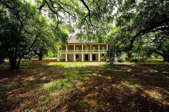 N’awlins Luxury: Laura, Oak Alley or Whitney Plantation Tour w/Transportation