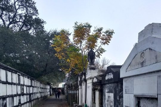 A Locals' Garden District Tour