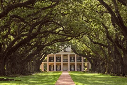 Oak Alley Plantation Half Day Tour